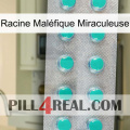 Racine Maléfique Miraculeuse 28